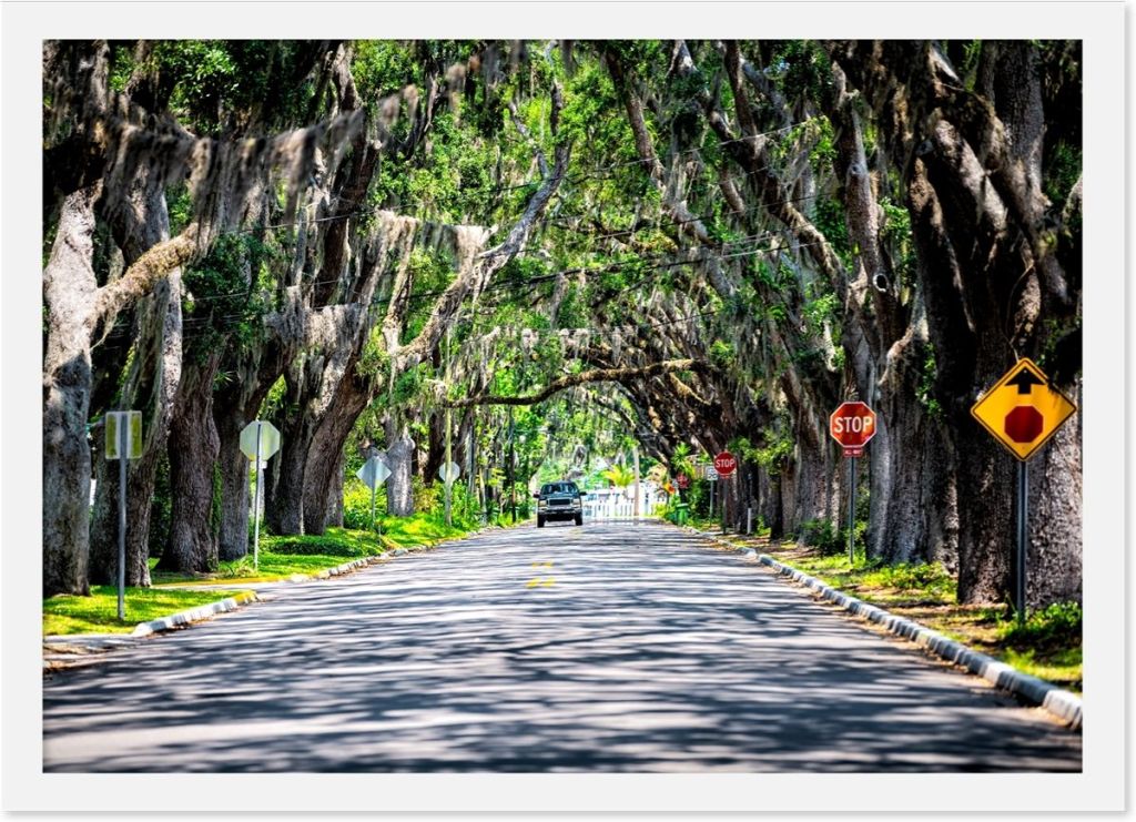 Famous Magnolia Avenue in St. Augustine, Florida.