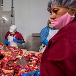 Meat processing plant workers