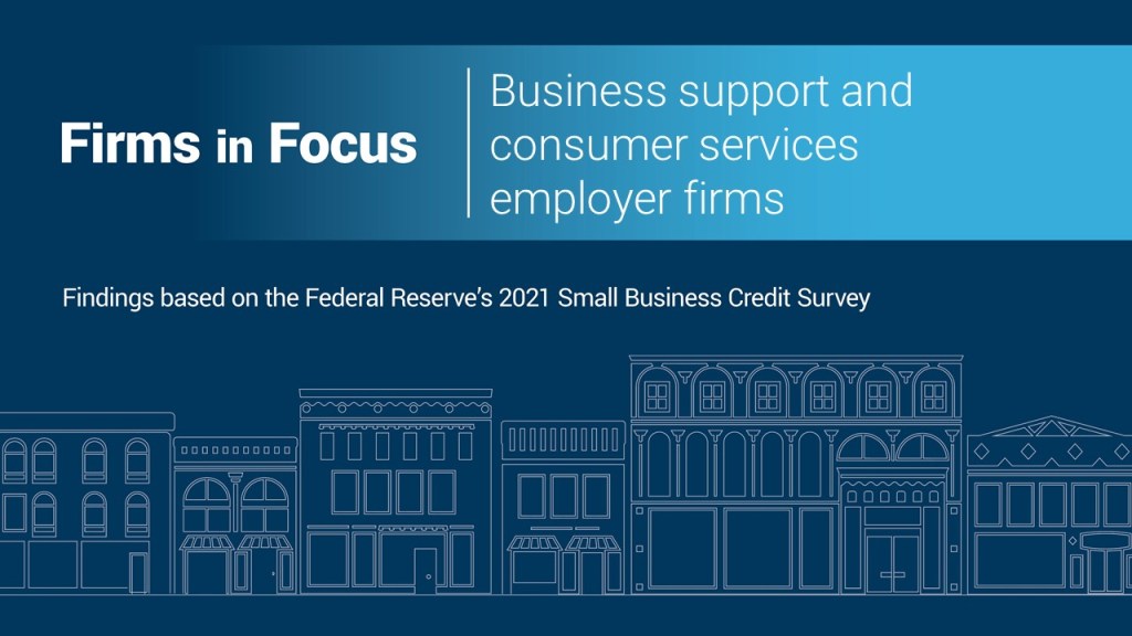 Business support and consumer services employer firms