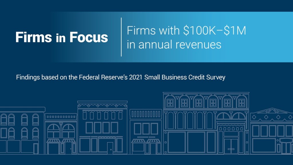 Firms in Focus: Employer firms with $100K–$1M in annual revenues