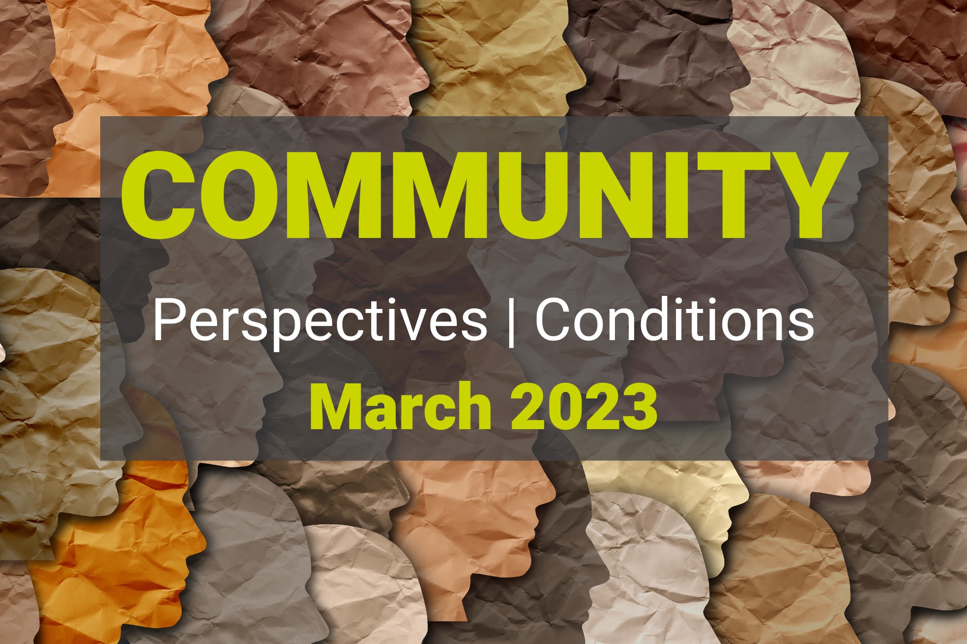 March 2023 Community Perspectives, Conditions