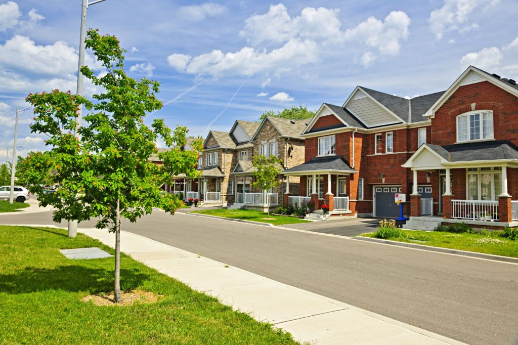 Row of homes on colorful block with a single small green tree in the foreground.