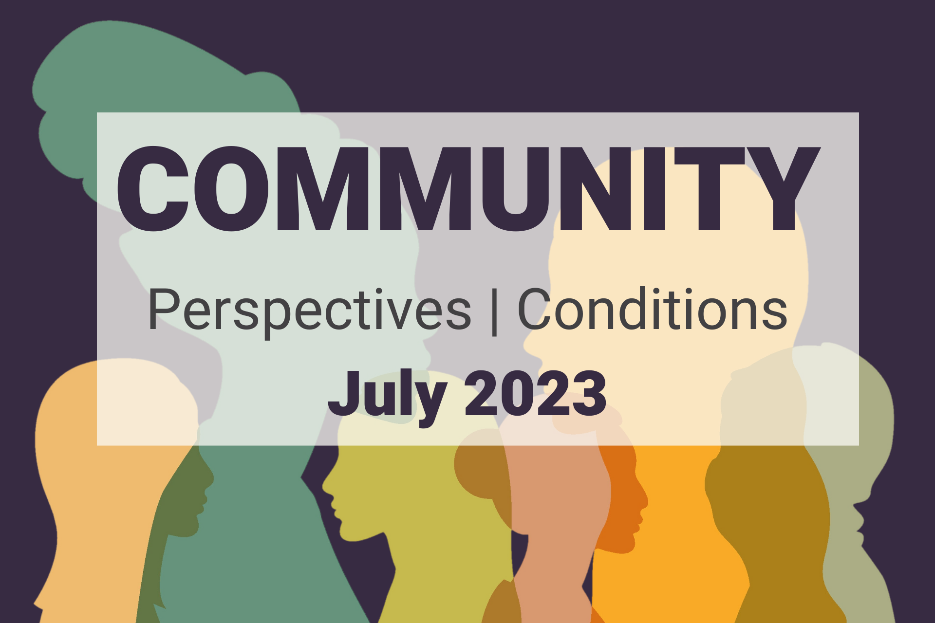 Community Perspectives and Conditions, July 2023