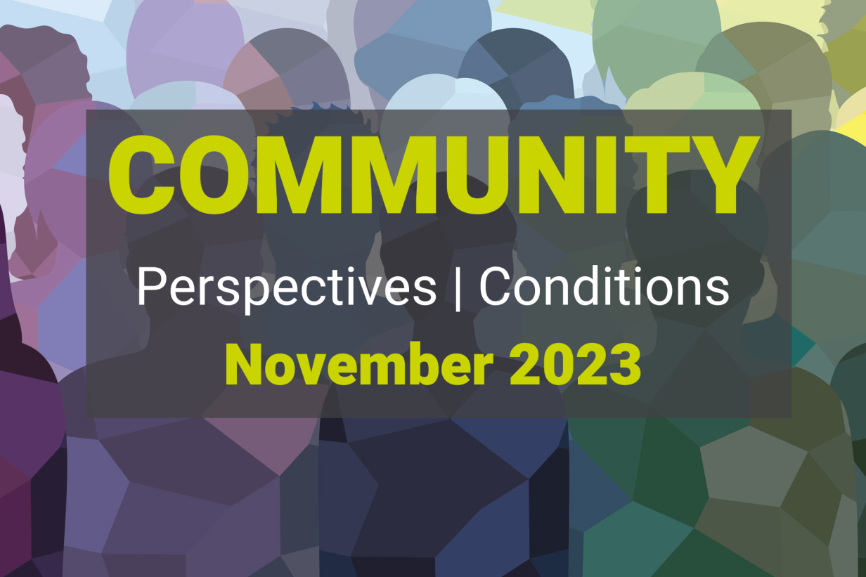 Community Perspectives and Conditions November 2023