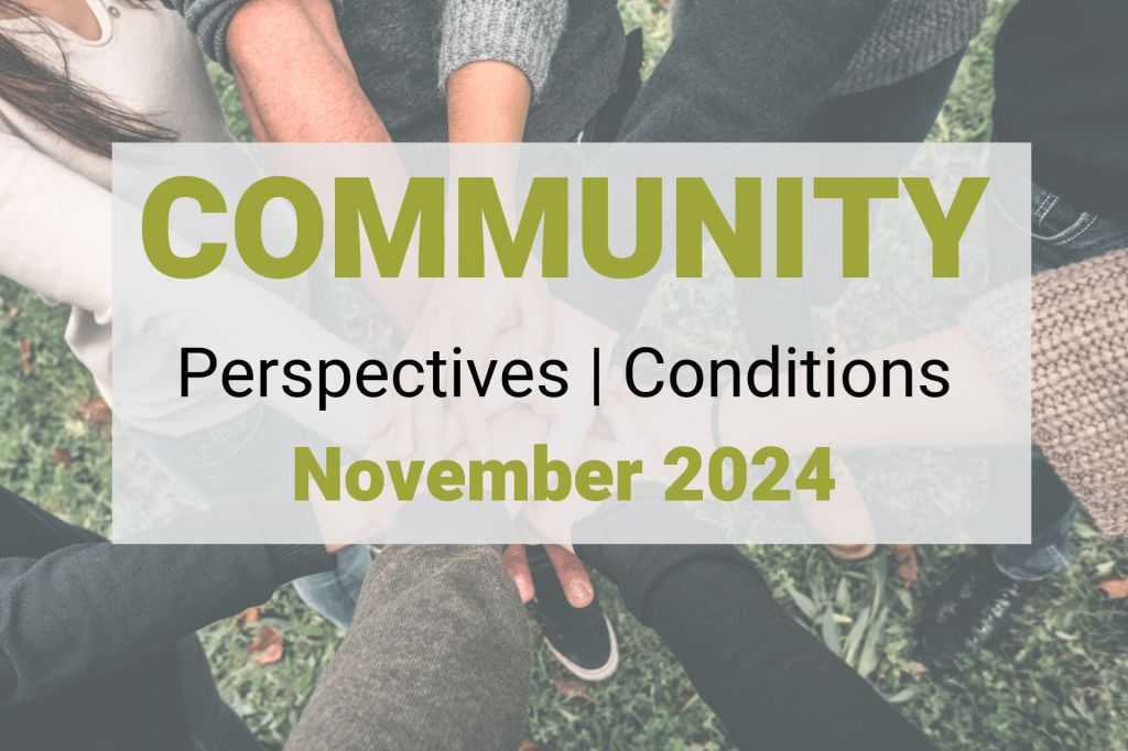 Community perspectives and conditions from the Fed’s Beige Book, November 2024