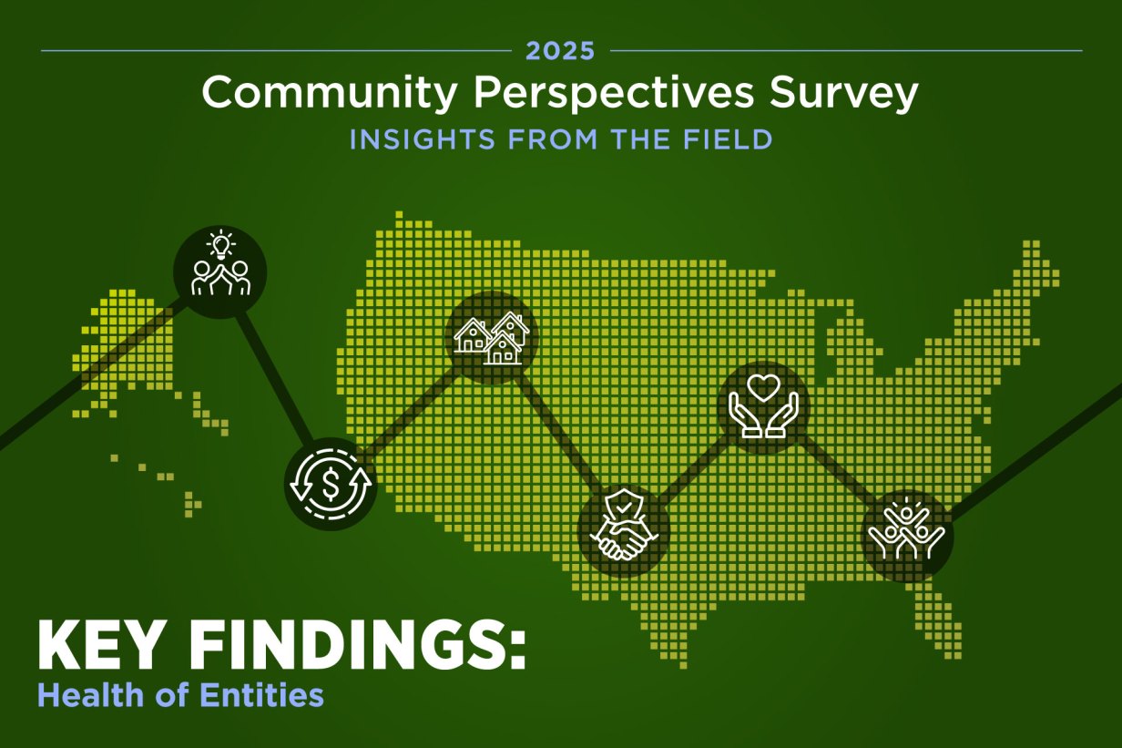 2025 Community Perspectives Survey: Insights from the field—Health of entities serving low- and moderate-income communities
