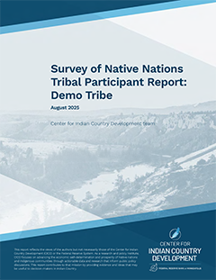 Survey of Native Nations Tribal Participant Report Cover Image