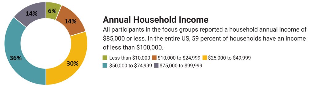 Circle graph showing Annual Household Income. All participants in the focus groups reported a household annual income of $85,000 or less. In the entire US, 59 percent of households have an income of less than $100,000. 